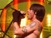 red-hot-chili-peppers