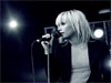 the-cardigans