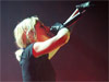 guano-apes
